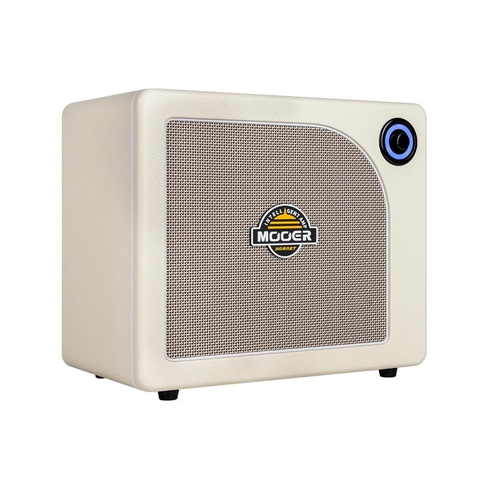 Mooer Hornet 30i Intelligent Amplifiers